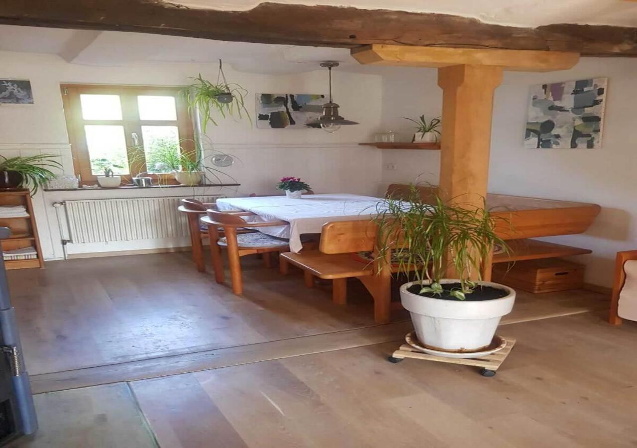 Aeltestes Haus In Quentel - Ferienwohnung 1 Mit Kleinem Garten Lichtenau Kültér fotó